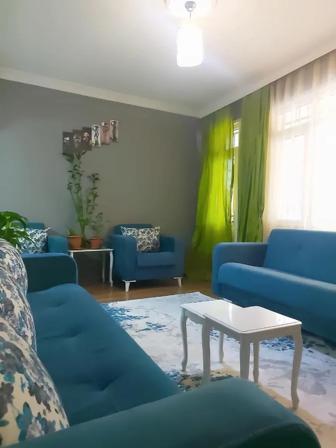 Central & Seaside Apartment With Shisha Istanbul 0*,  Turkiet
